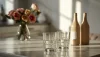 Eau gazeuse Naturelle sans Adjonction Gaz : Comment choisir?