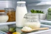 Combien de temps peut-on garder le Kéfir au Frigo​ ? Guide