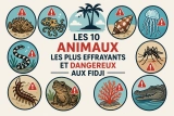 Animaux les plus Effrayants et Dangereux trouvés aux Fidji